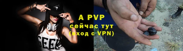 гидра Алексеевка