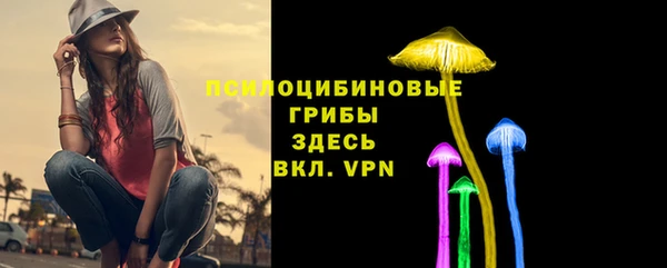 mdpv Алексин