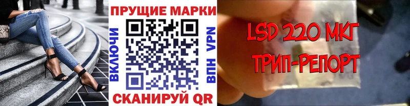 как найти   Кингисепп  Марки N-bome 1,5мг 