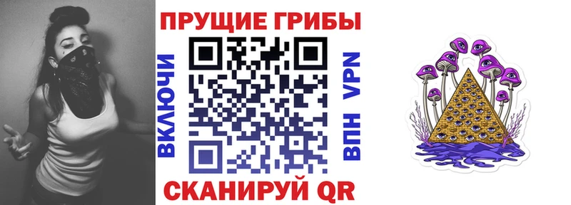 Галлюциногенные грибы ЛСД Кингисепп