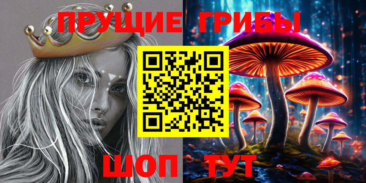 Кингисепп  Псилоцибиновые грибы Psilocybine cubensis  Вход с VPN  Псилоцибиновые грибы Cubensis 